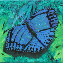 Load image into Gallery viewer, Blue Morpho