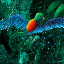 Load image into Gallery viewer, Quetzal Limited Edition fine art print