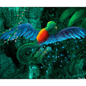 Quetzal fine art print