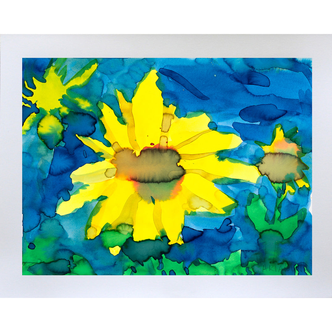Sunflower fine art print