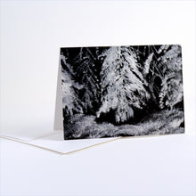 Load image into Gallery viewer, Winter Trees card set