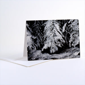 Winter Trees card set